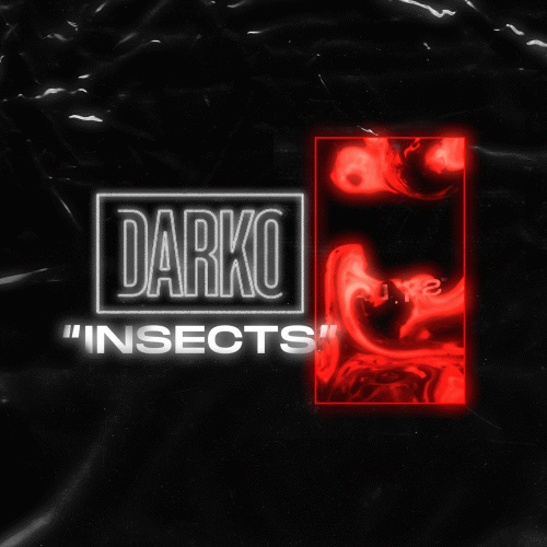 Darko : Insects